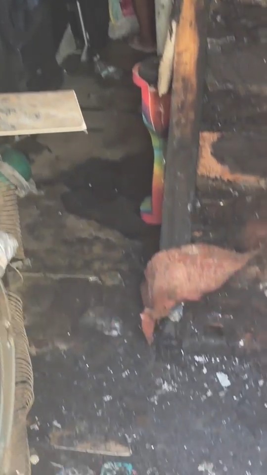 Charging hoverboard battery blamed for Philadelphia house fire