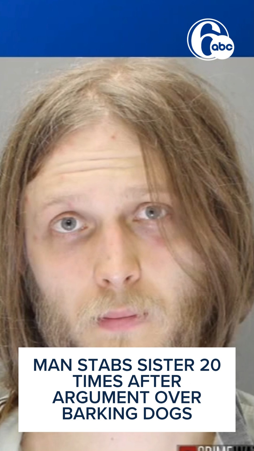 Man stabs sister 20 times after argument over barking dogs, police say