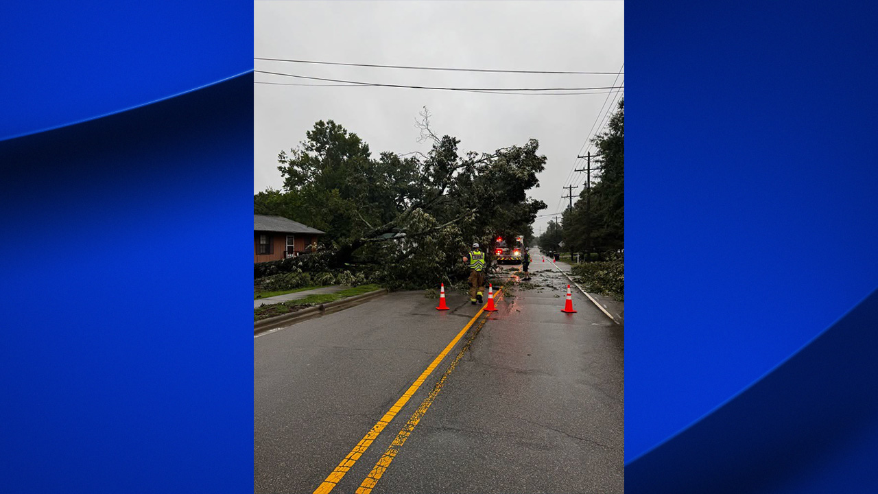 A tree fell across W. Barbee Street in Zebulon on July 24, 2026.