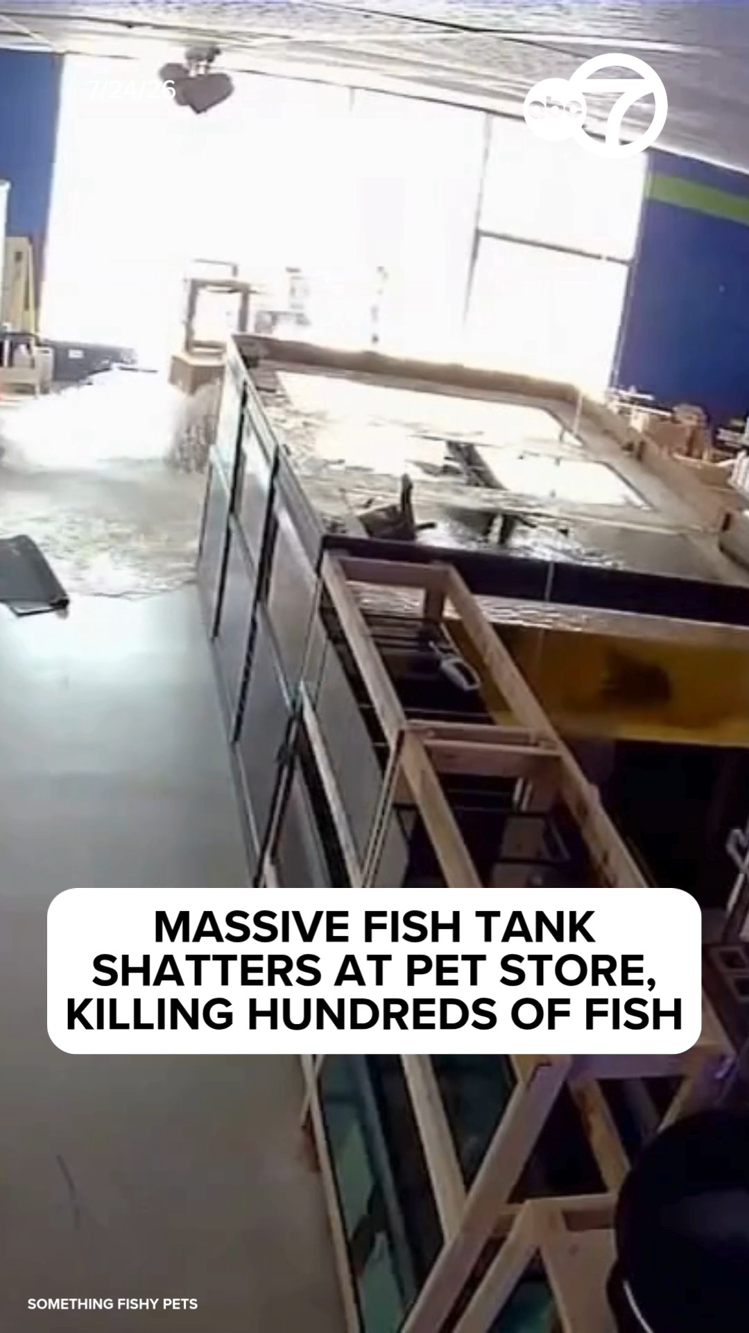 Massive fish tank shatters at pet store, killing hundreds of fish