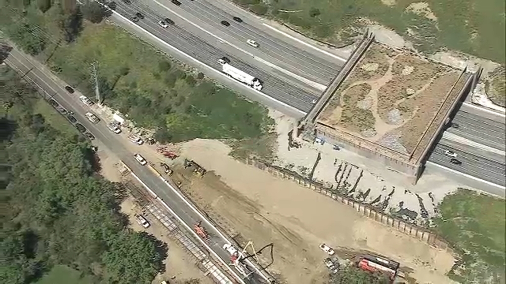 Extended Agoura Hills road closure in effect for wildlife crossing