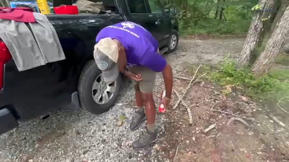 Tick bites reach 10-year high in the Southeast