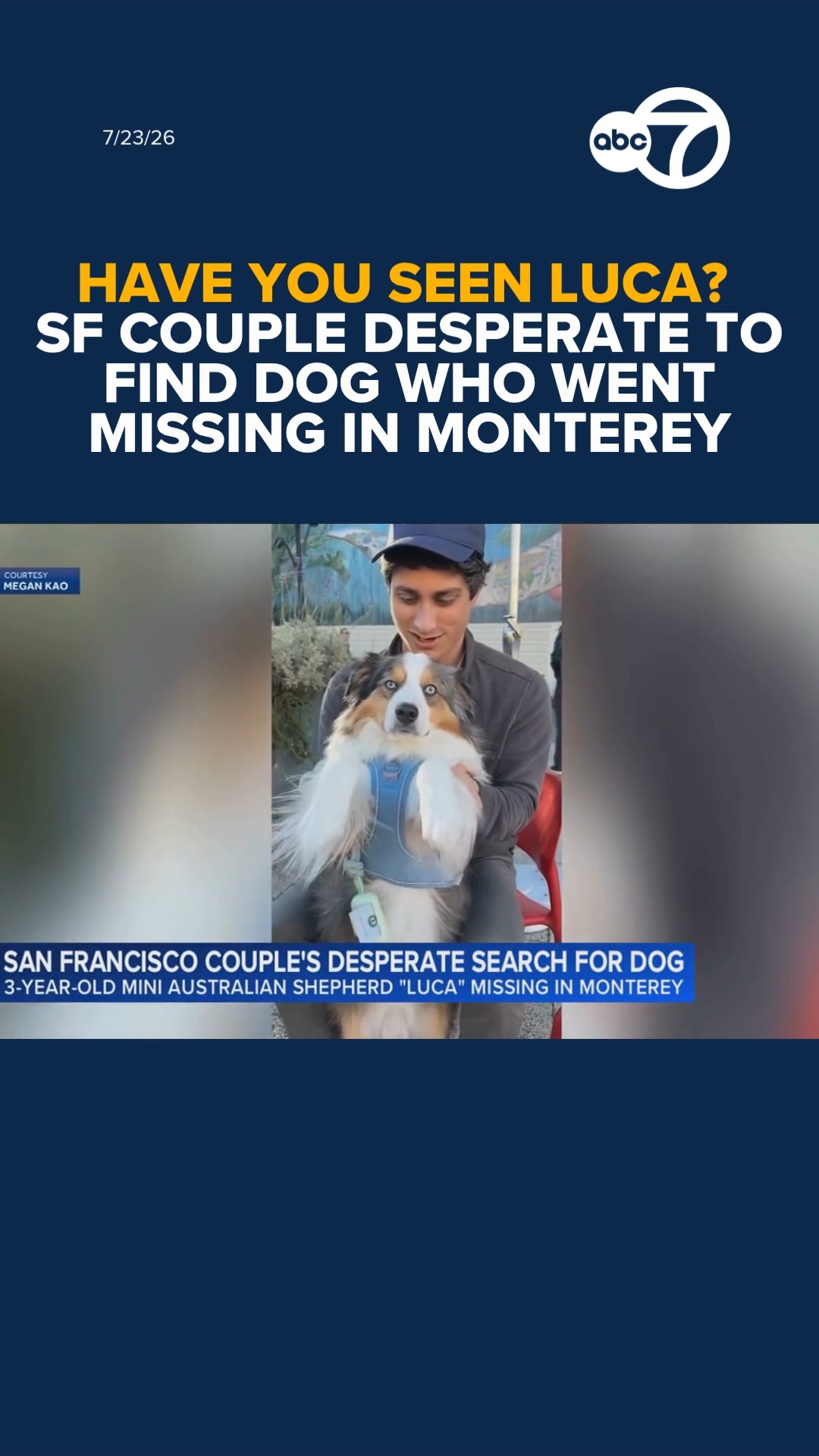 SF couple desperate to find dog who went missing in Monterey