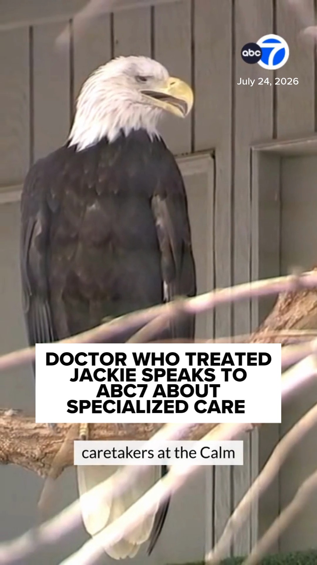 Doctor who treated Jackie speaks to ABC7 about specialized care
