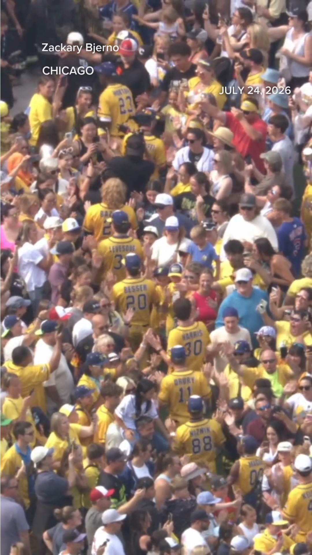 Savannah Bananas take over Wrigley Field in Chicago