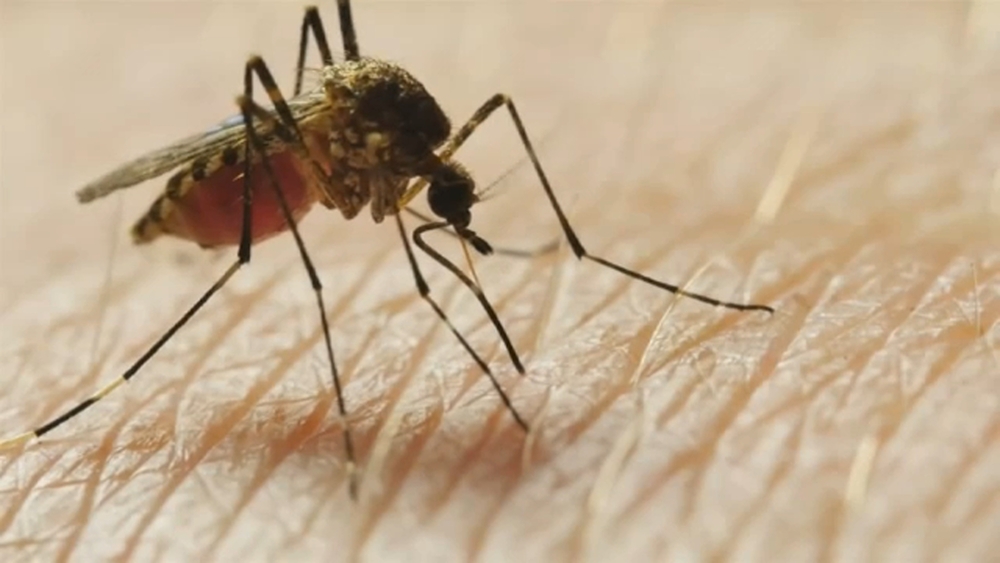 Fresno, Kings and Tulare Counties confirm human West Nile Virus cases
