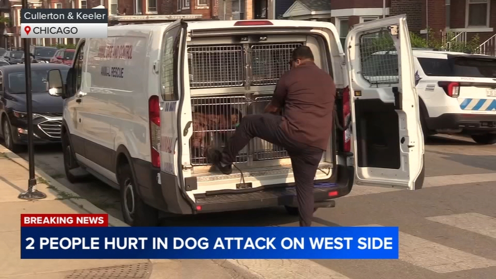 2 seriously injured in West Side dog attack: CFD
