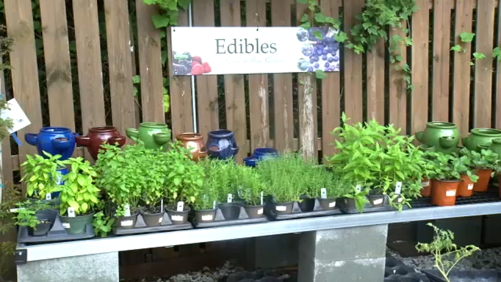 Drought continues to strain farmers, gardeners in central North Carolina