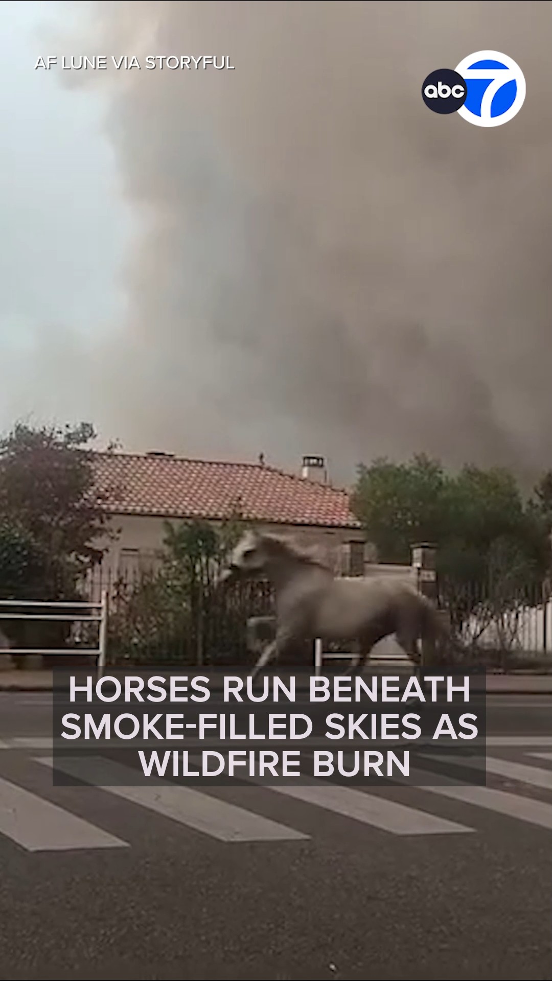 Horses run beneath smoke-filled skies as wildfire burns in France

