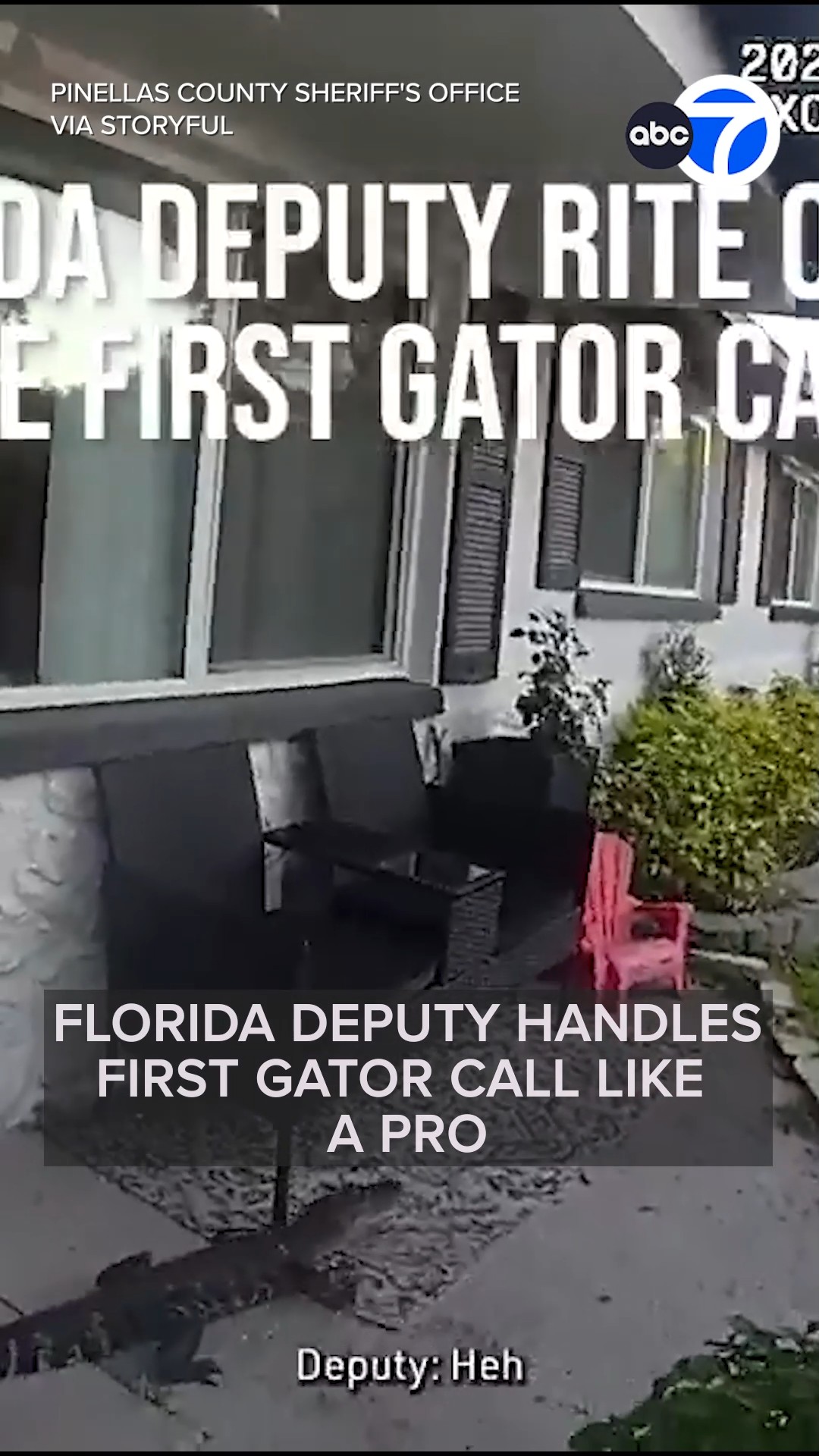 Florida deputy handles first gator call like a pro