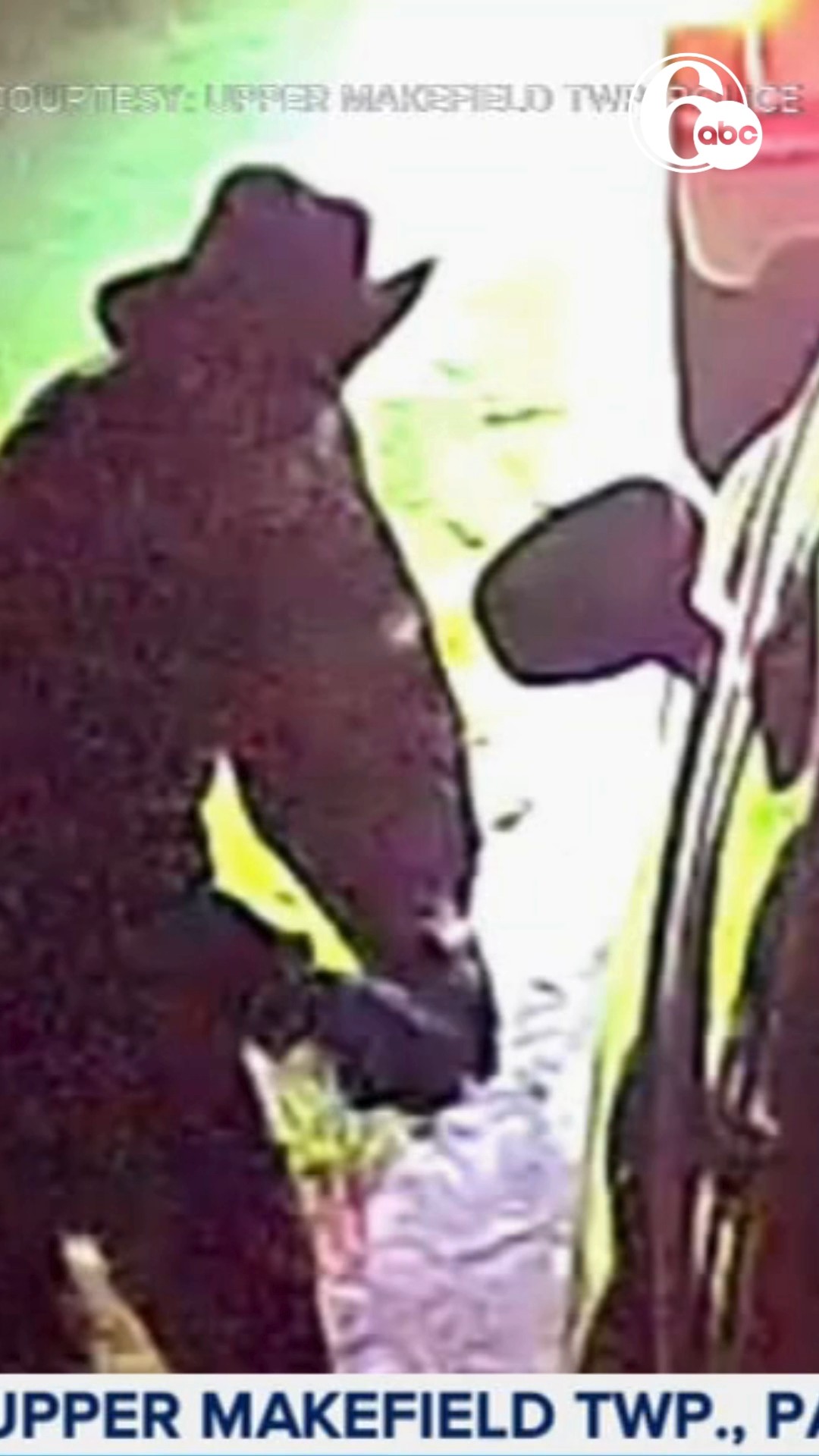 Man sought after rash of car break-ins, theft in Upper Makefield