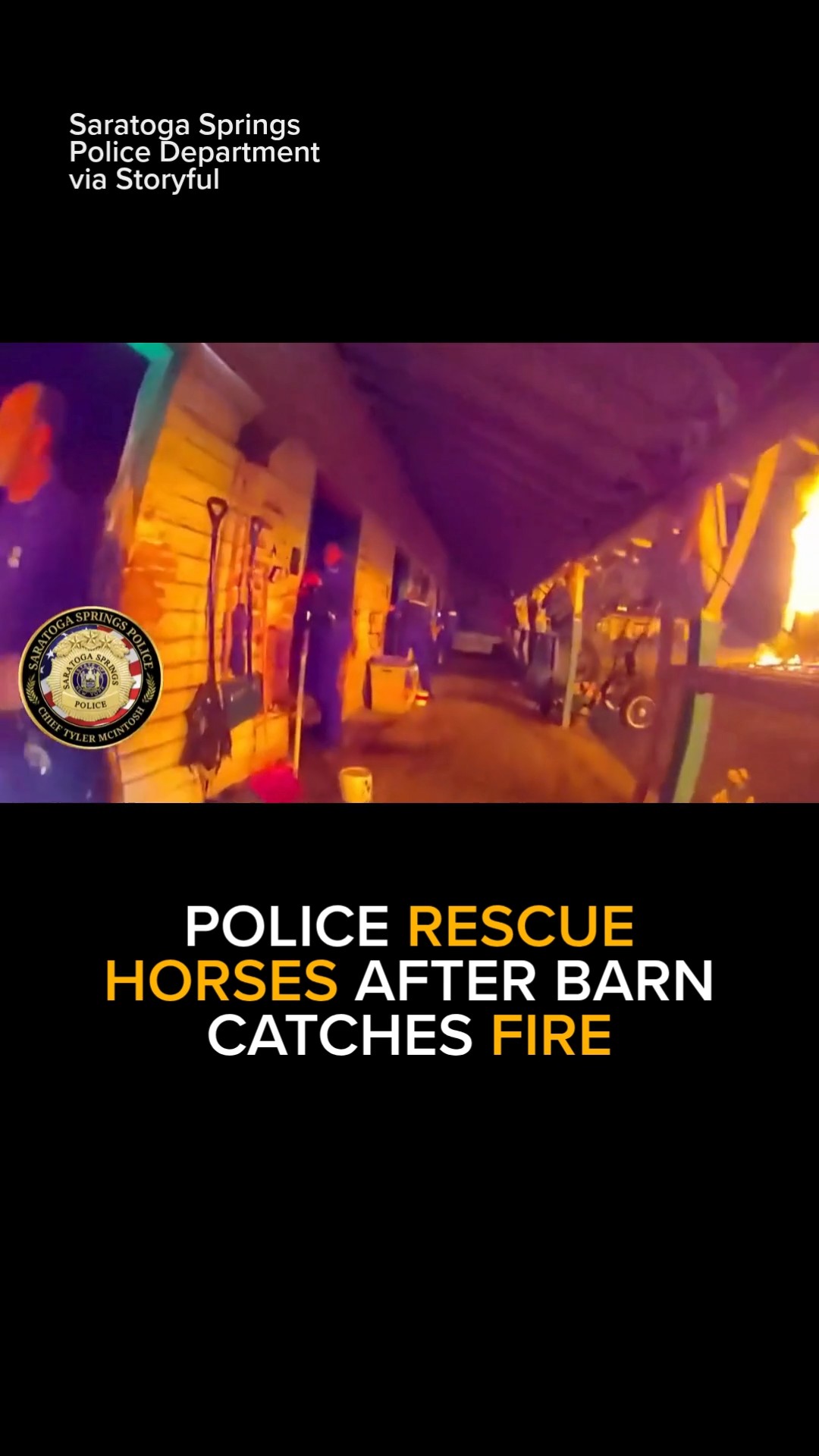 Scary Moment Police Rescue Horses After Barn Catches Fire