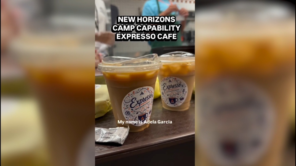New Horizons Camp CapAbility 