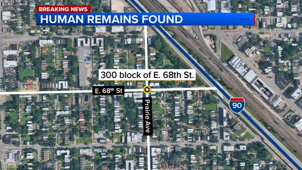 Possible human remains found in alley on South Side: CPD