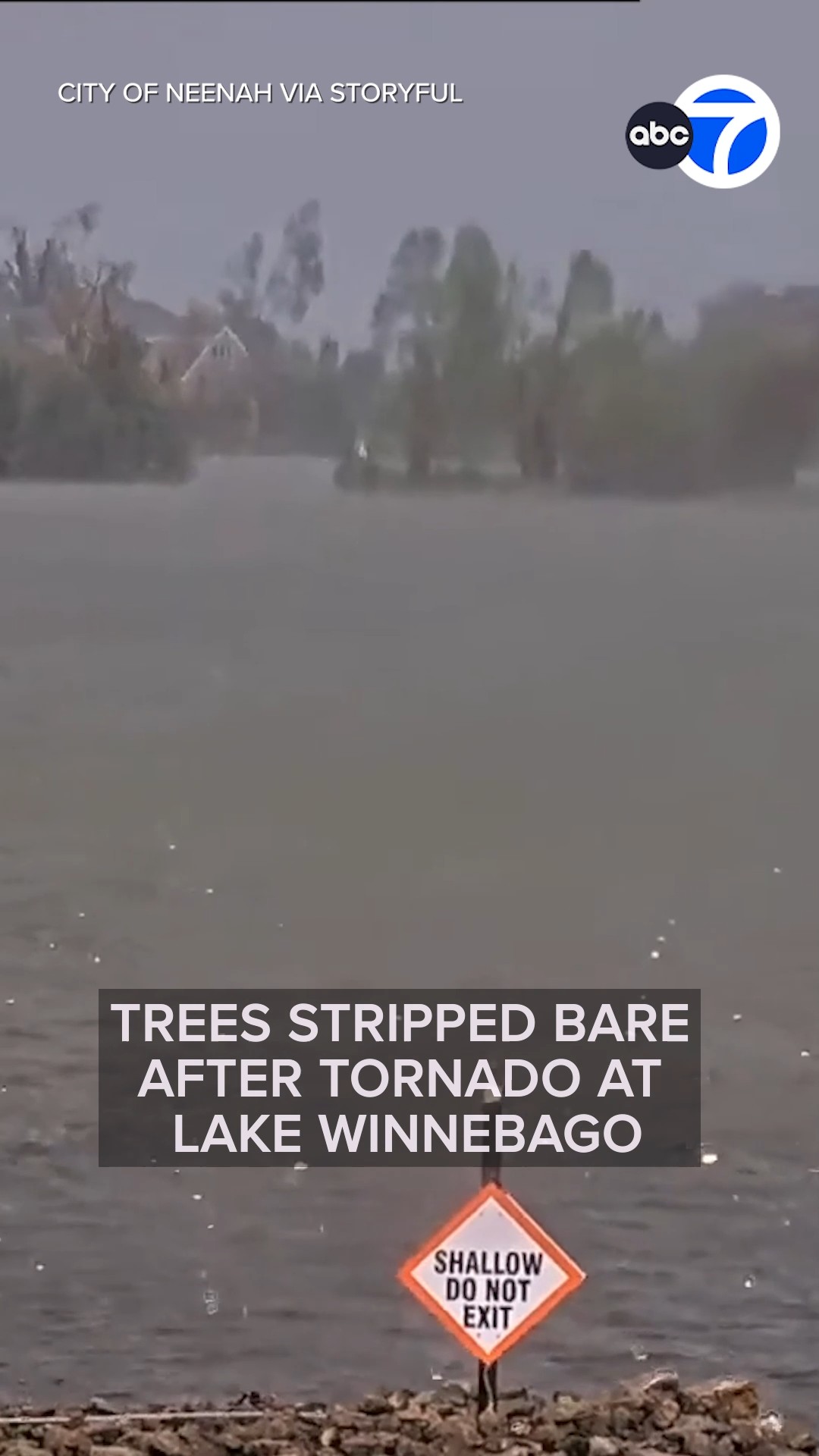 Trees Stripped Bare After Tornado at Lake Winnebago
