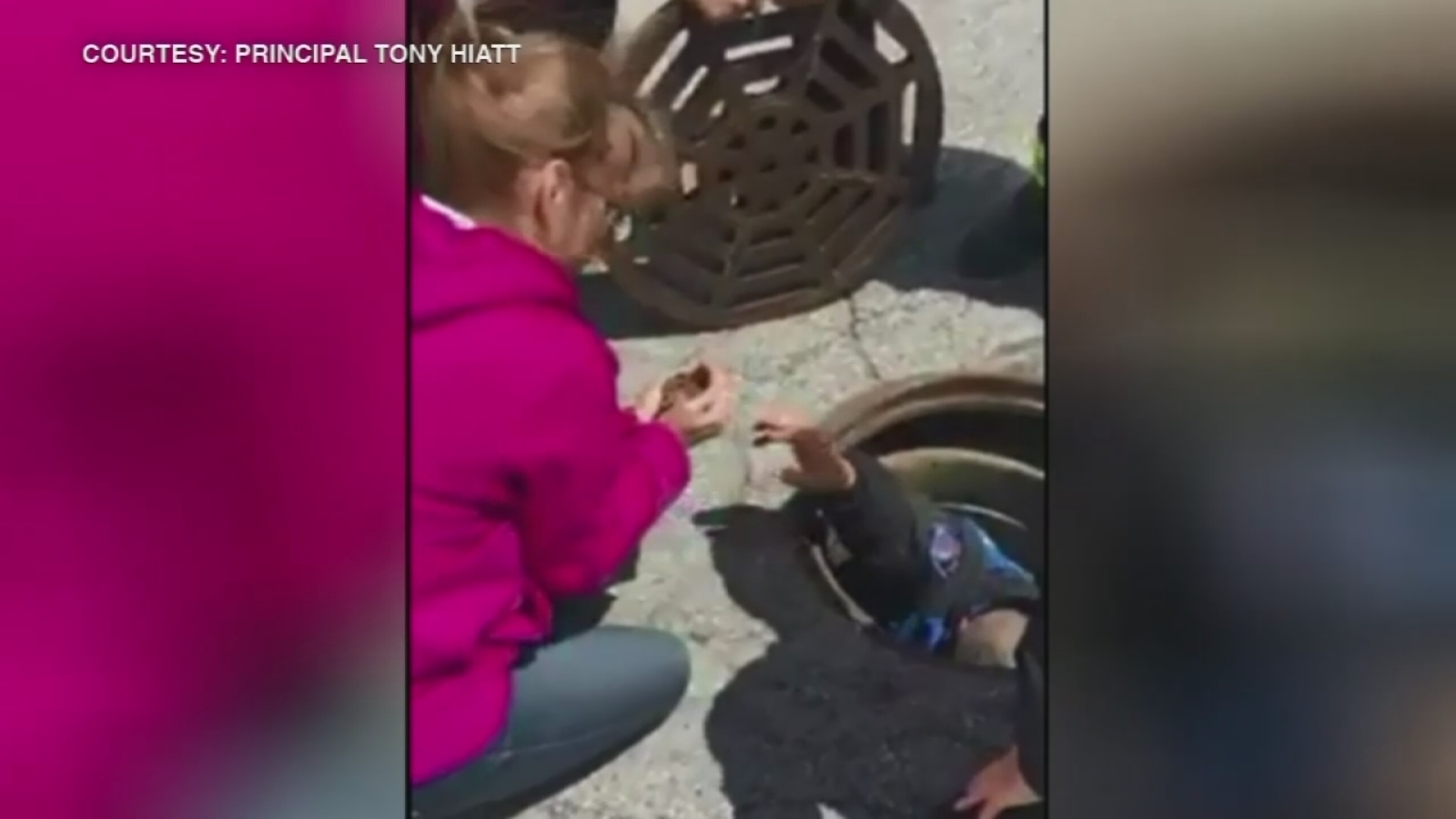 9 ducklings rescued from storm drain in Indiana - 6abc Philadelphia
