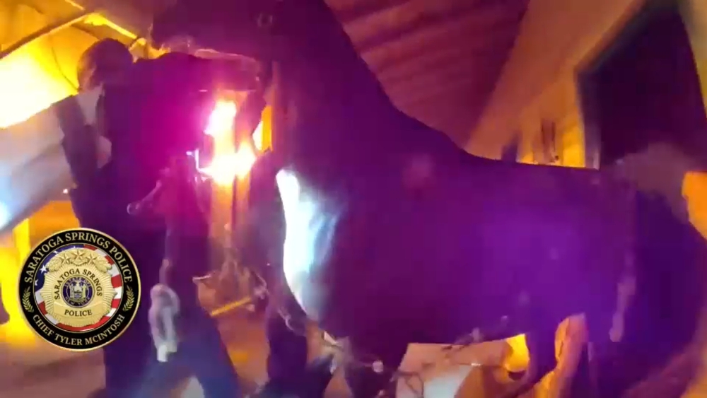 Horses rescued from burning barn in Saratoga Springs
