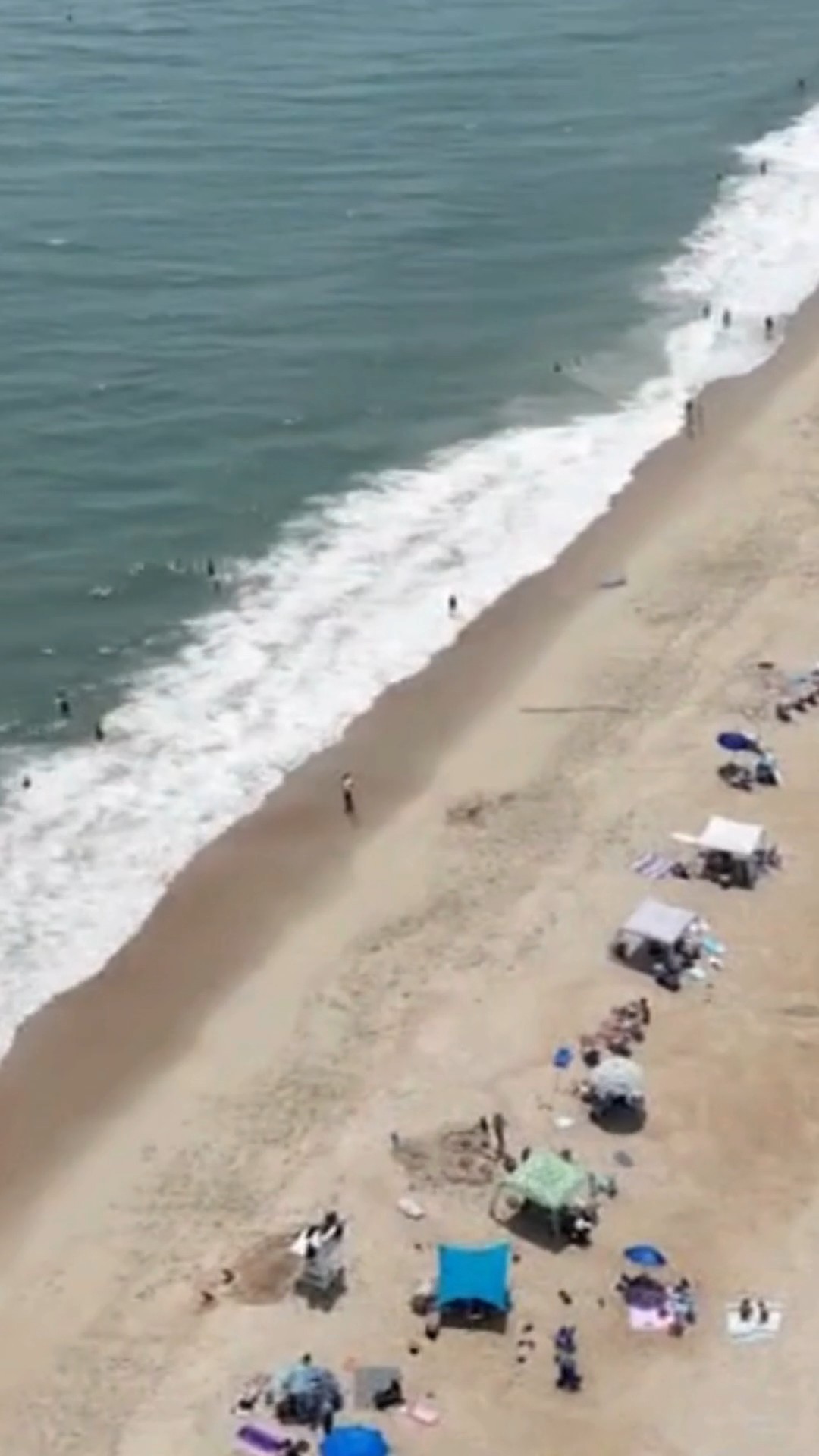 Jellyfish stings on the rise at Delaware beach