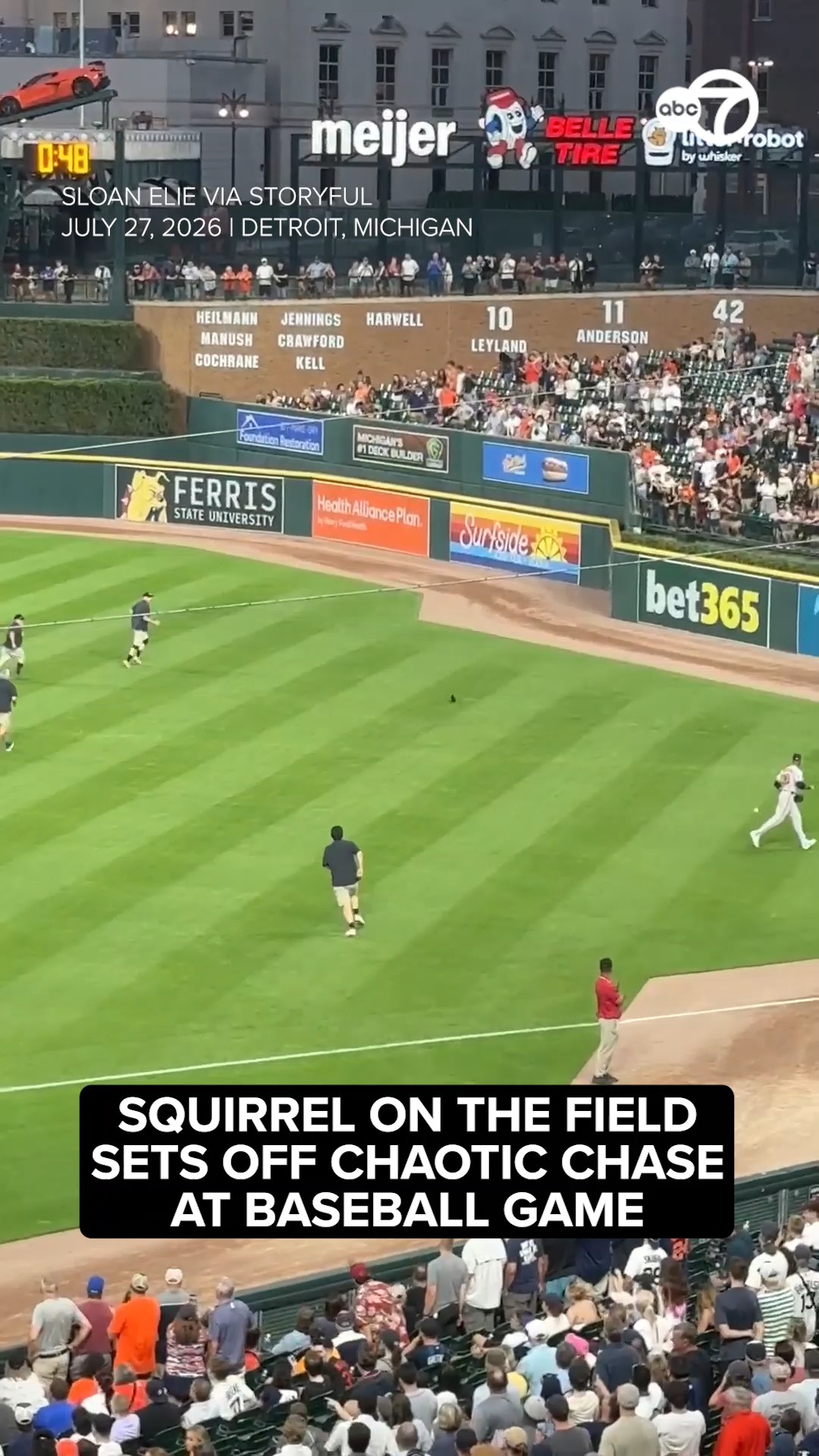 Squirrel on the field sets off chaotic chase at baseball game
