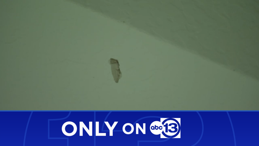 Neighbor recounts moment bullet went through Iowa Colony home