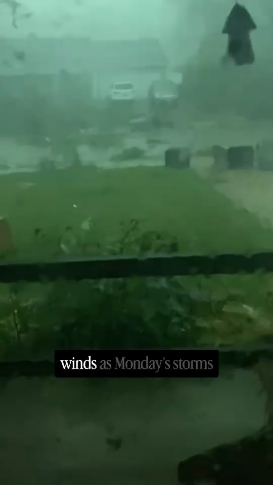 Storms topple 60-foot trees, knock out power in Orland Park