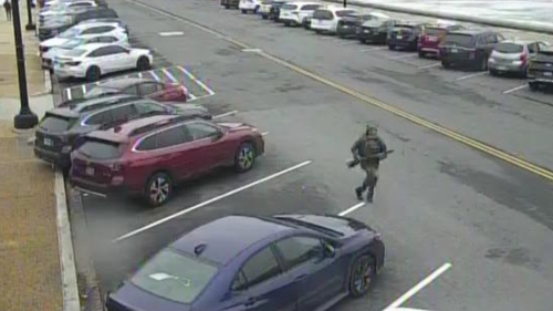 Teen Pleads Guilty in Capitol Gun Dash Case