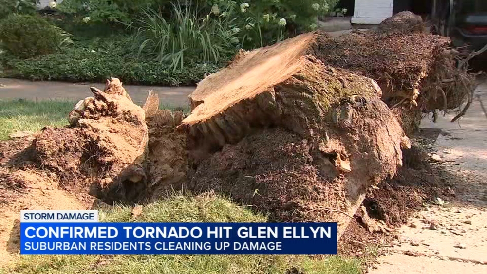 Trees toppled, power knocked out after tornado tears through Glen Ellyn