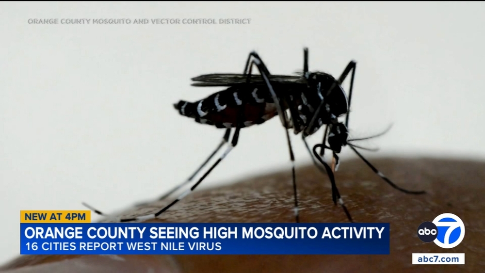 Officials: O.C. could see its worst West Nile virus season on record