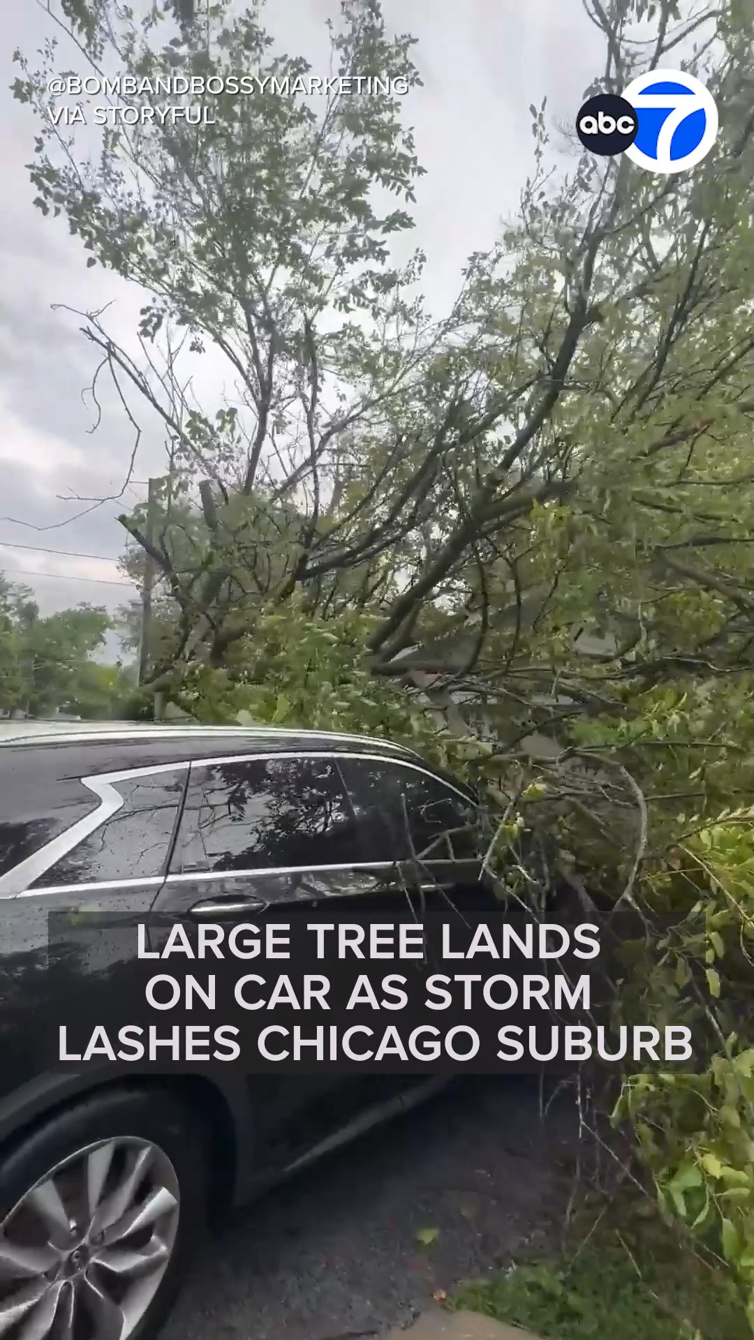 Large tree lands on car as storm lashes Chicago suburb
