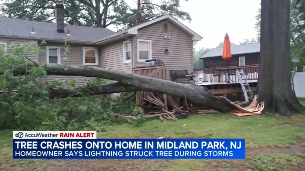 Tree crashes onto home in Midland Park, New Jersey