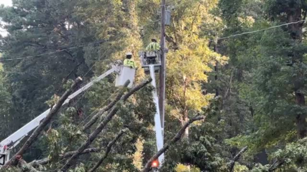 VIDEO: Large tree down in northwest Wake County
