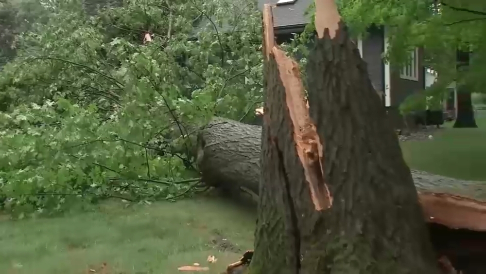 Massive tree smashes into home as storms wreak havoc across New Jersey