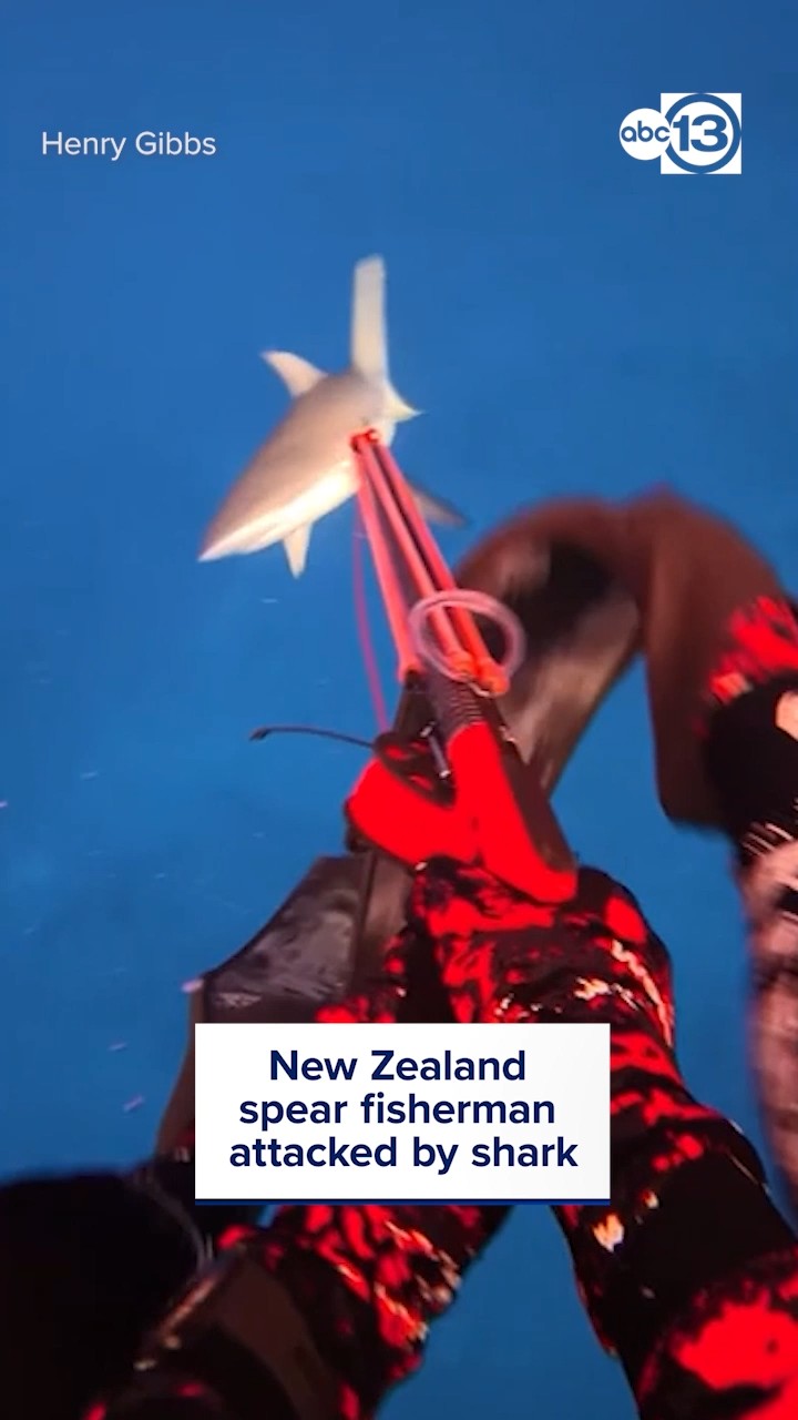 Spear Fisherman attacked by shark
