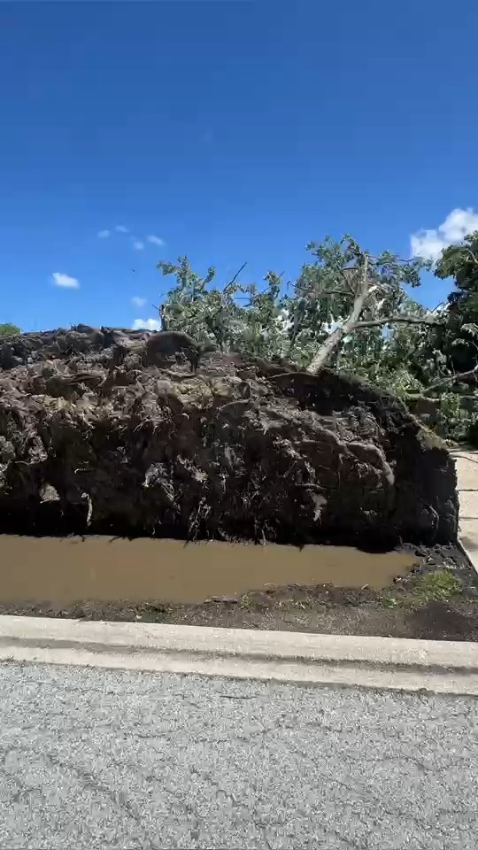 Tornado downs trees, trapping elderly couple in home in Homewood