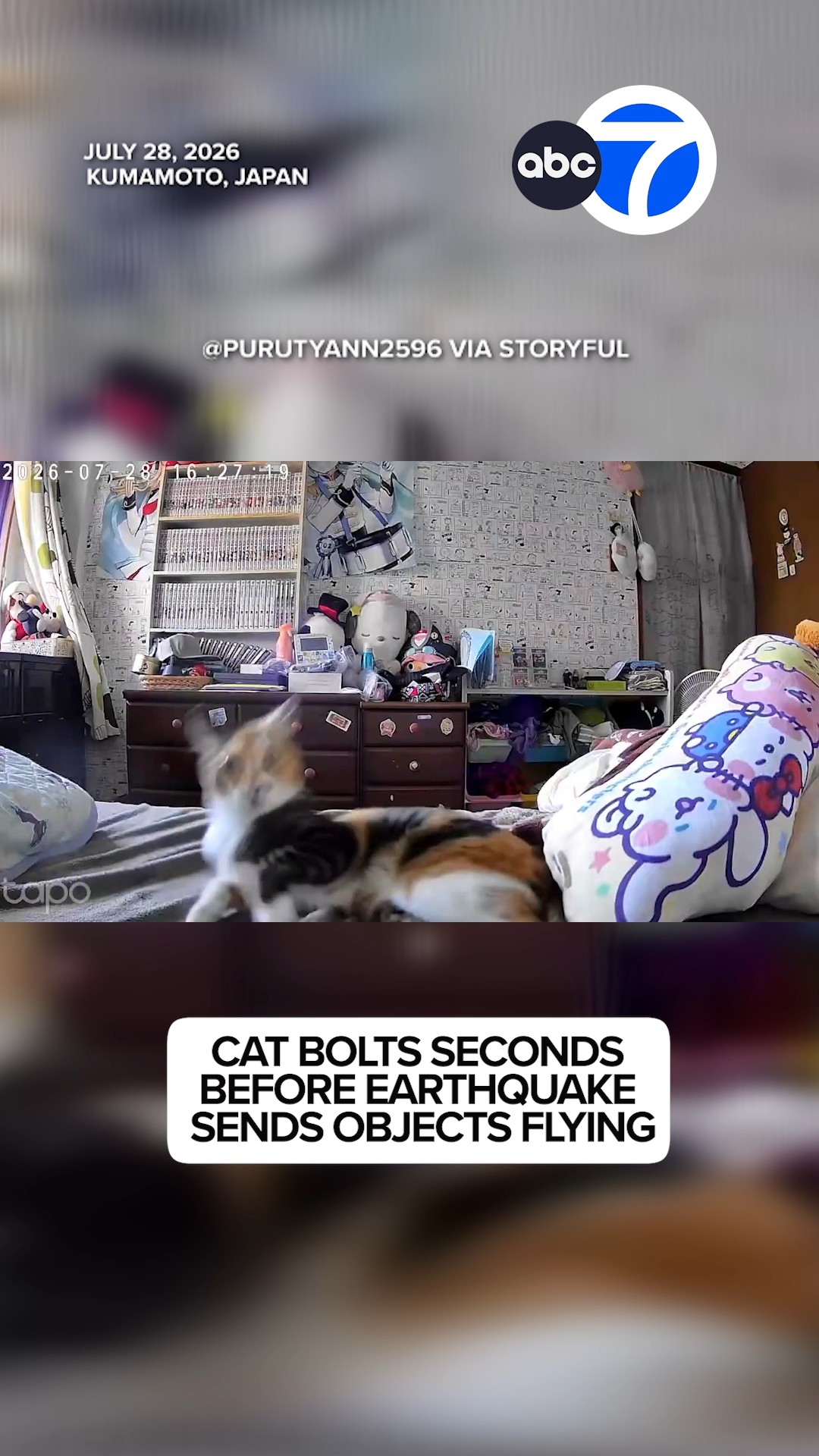 Cat bolts seconds before earthquake sends objects flying