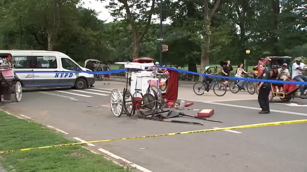 New questions emerge over what led to deadly horse carriage accident