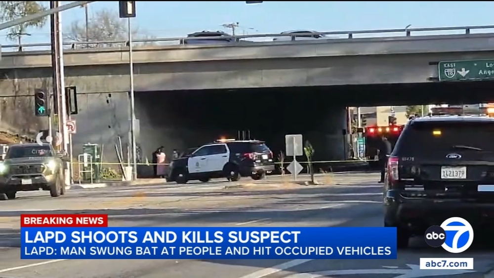 LAPD shoots, kills man allegedly swinging bat at bystanders, cars