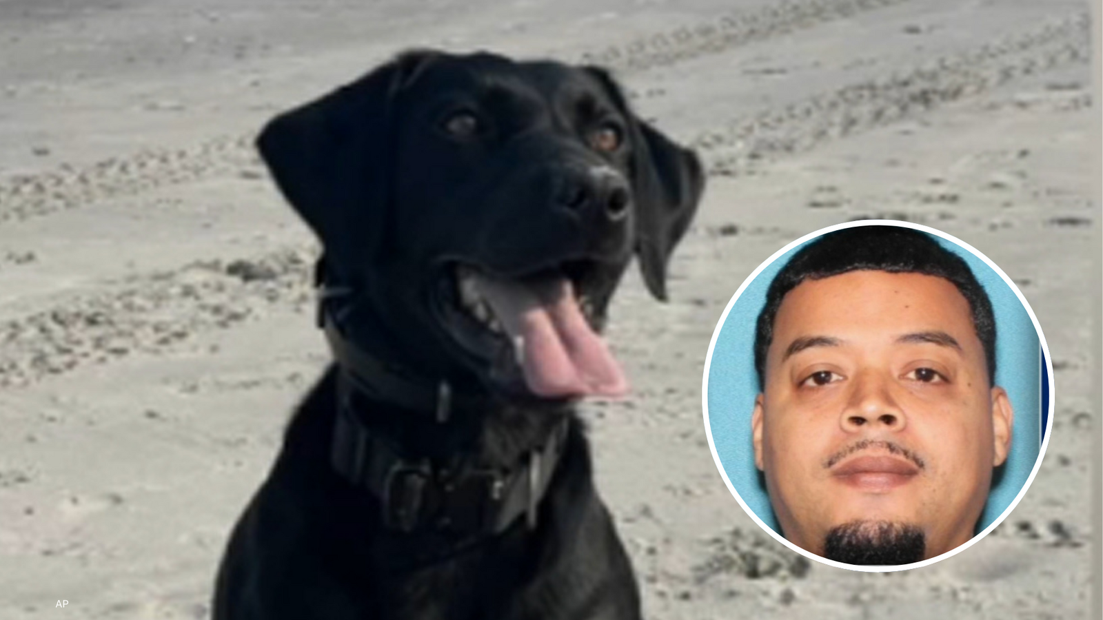 K-9 finds phone used to solicit explicit photos from 7-year-old girl