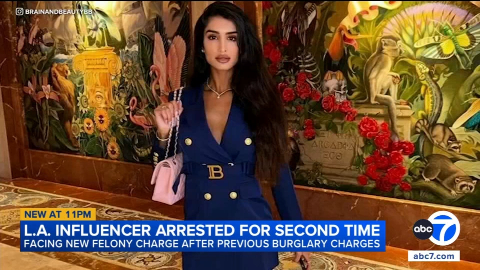 Los Angeles model and influencer arrested again, facing new felony charge