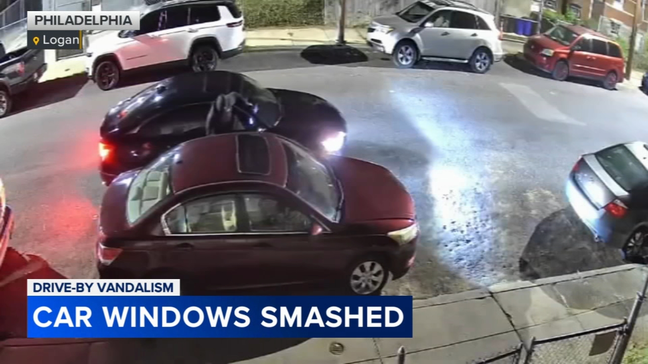 Vandals caught on video smashing windows of parked cars in Logan