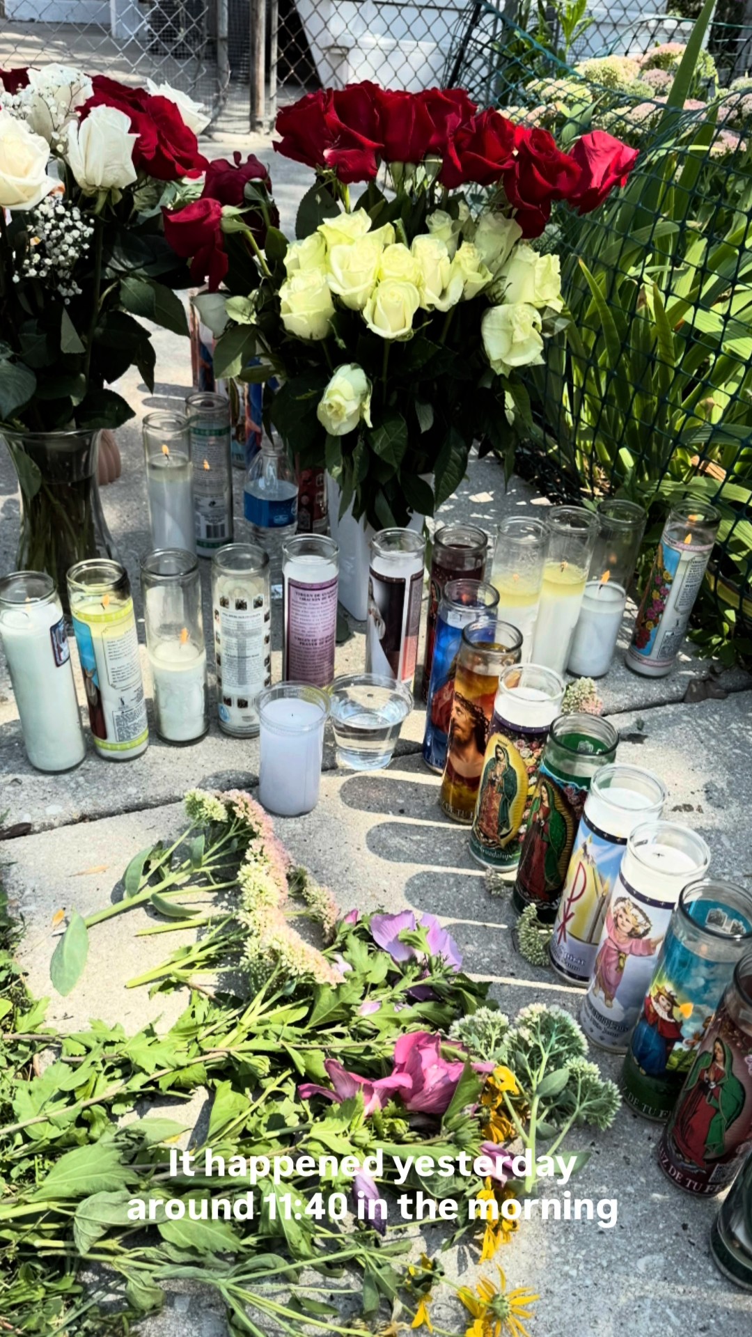 Little Village Community Council member killed in hit-and-run crash