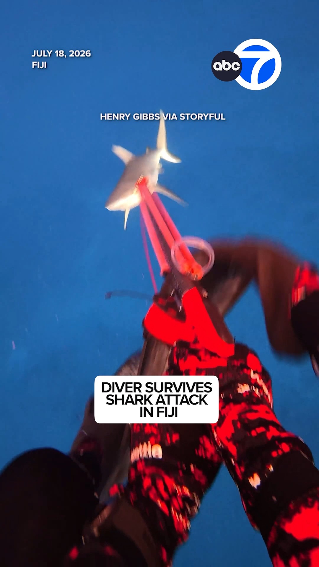 Diver survives shark attack in Fiji