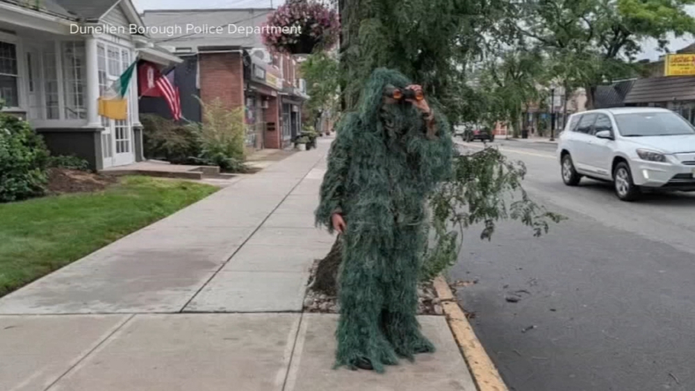 NJ officers dress up as shrubs to catch distracted drivers