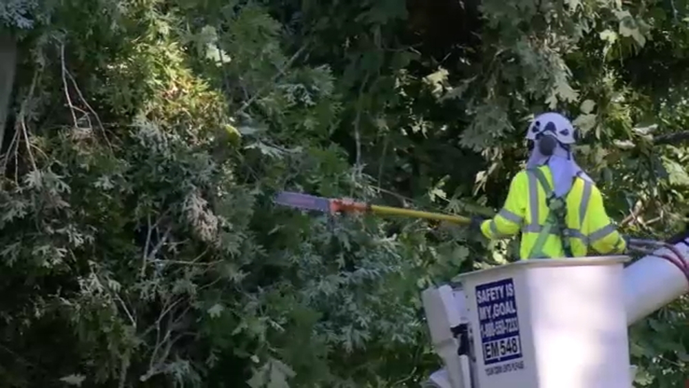 Second outage in a week frustrates Raleigh residents after tree falls