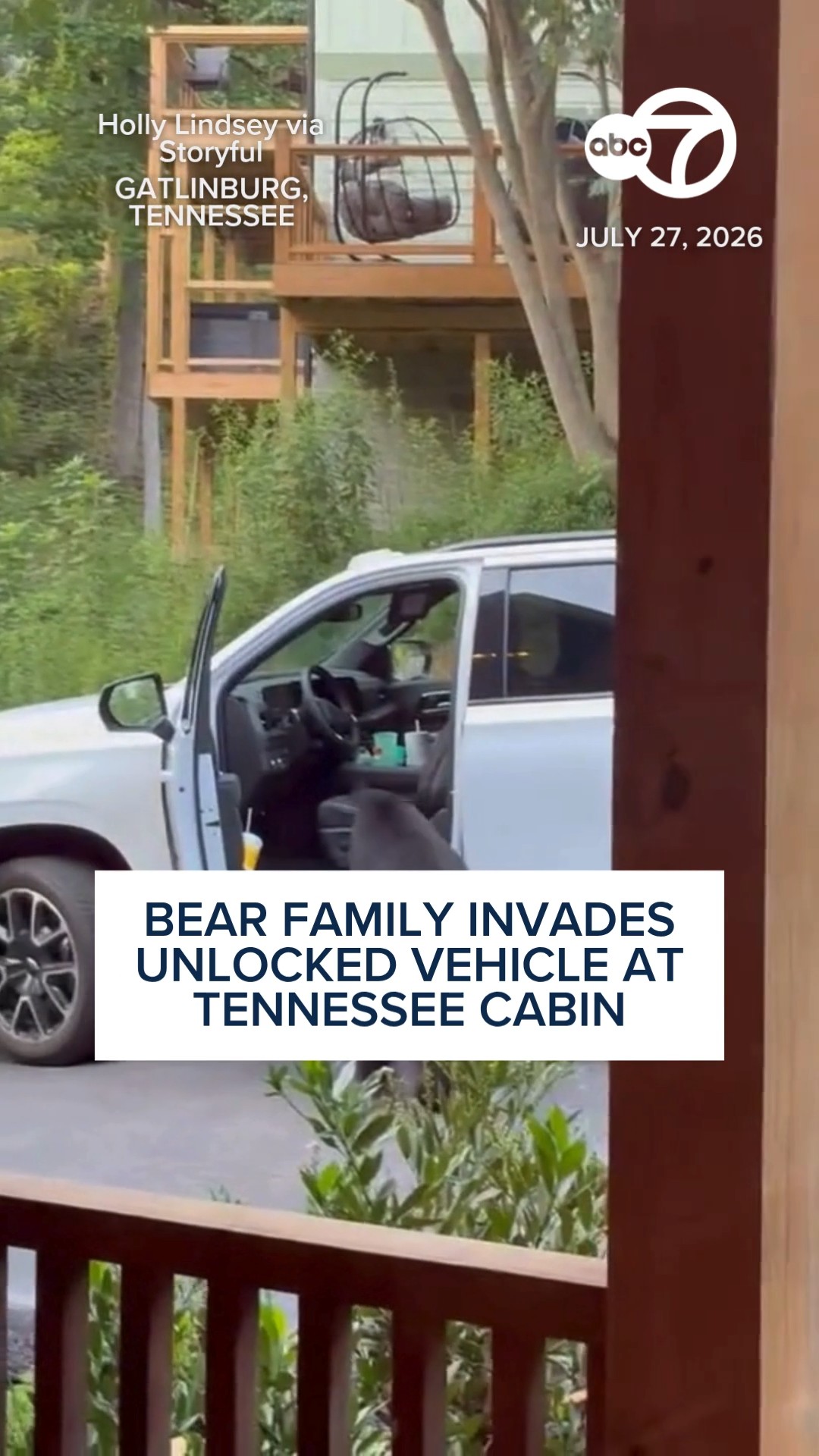 Bear family invades unlocked vehicle at Tennessee cabin