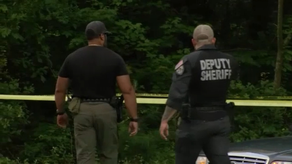 Human remains found in woods near Fayetteville homes: 'Just shocked'