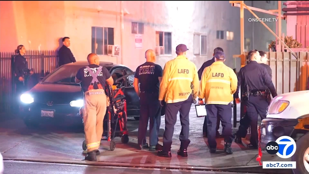Gunman sought after woman is shot, wounded in her Van Nuys home