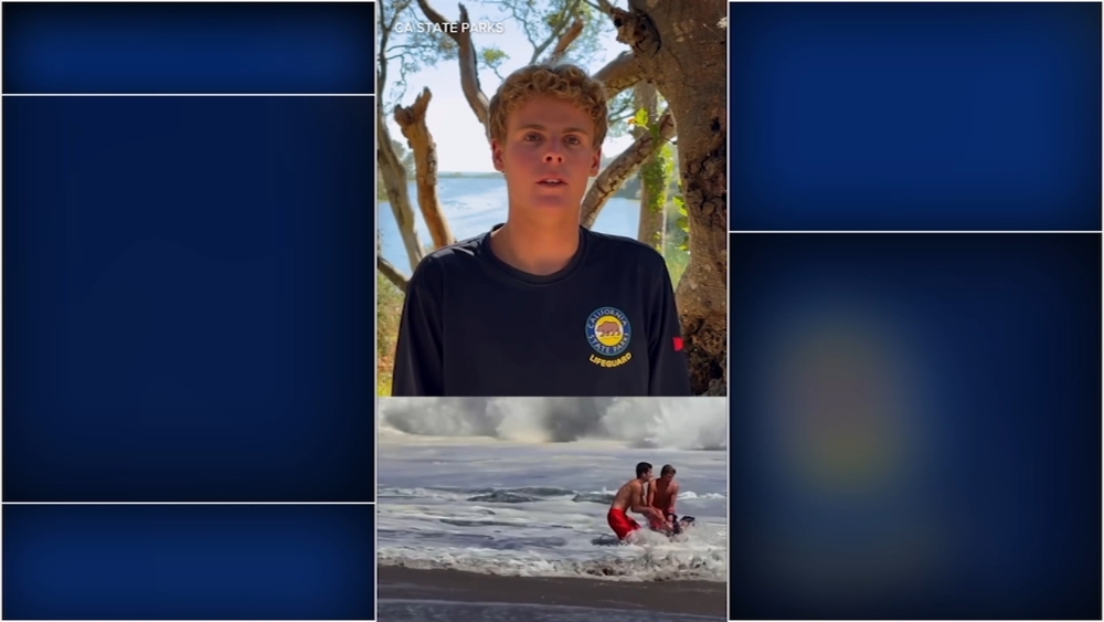 Santa Cruz lifeguard describes dramatic rescue of young boy: video