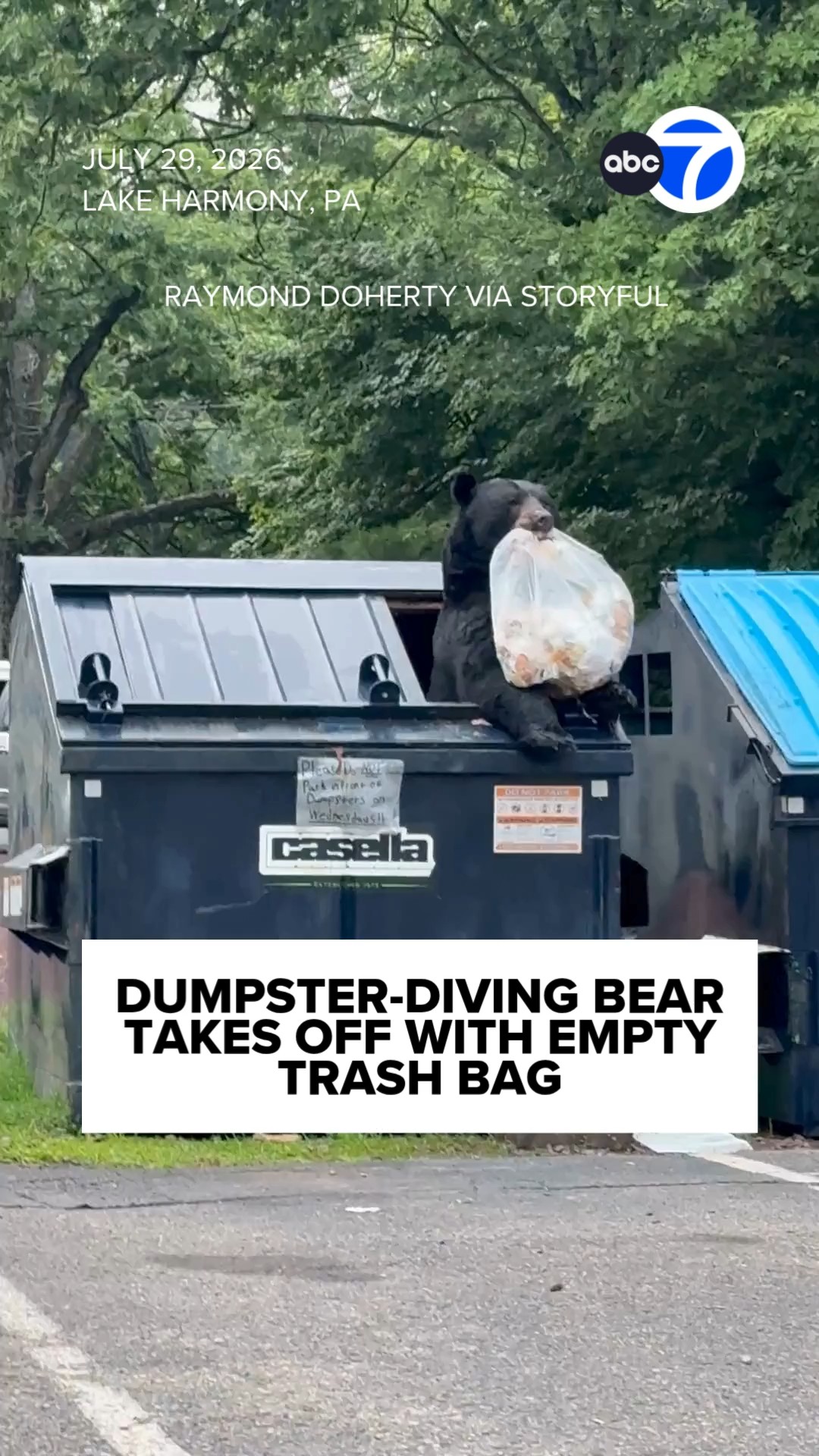 Dumpster-diving bear takes off with empty trash bag