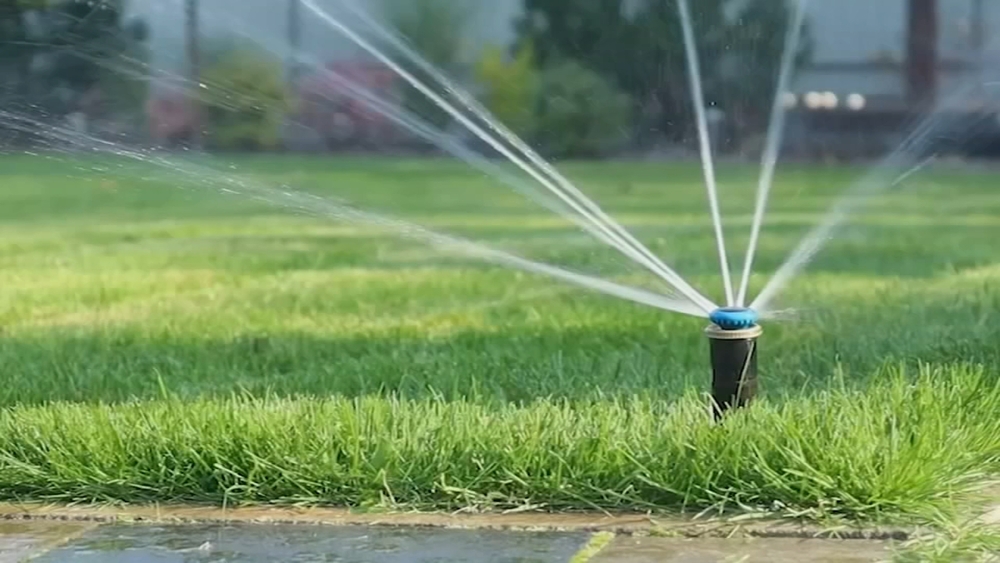 More rain in Sunday's forecast as Raleigh eases water restrictions 